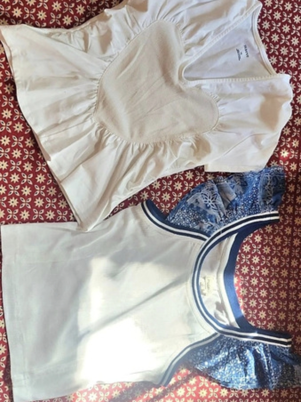 ANTHROPOLOGIE Tops Duo